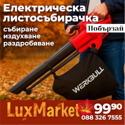 3В1 Електрическият листосъбирач Werk Bull - Made in Germany 